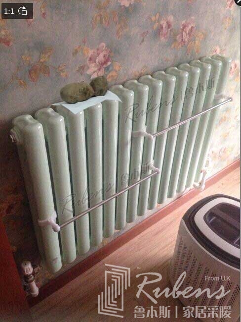 宅男视频污网站暖氣片烤紅薯